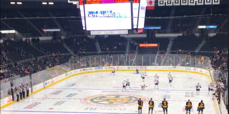 Providence Bruins